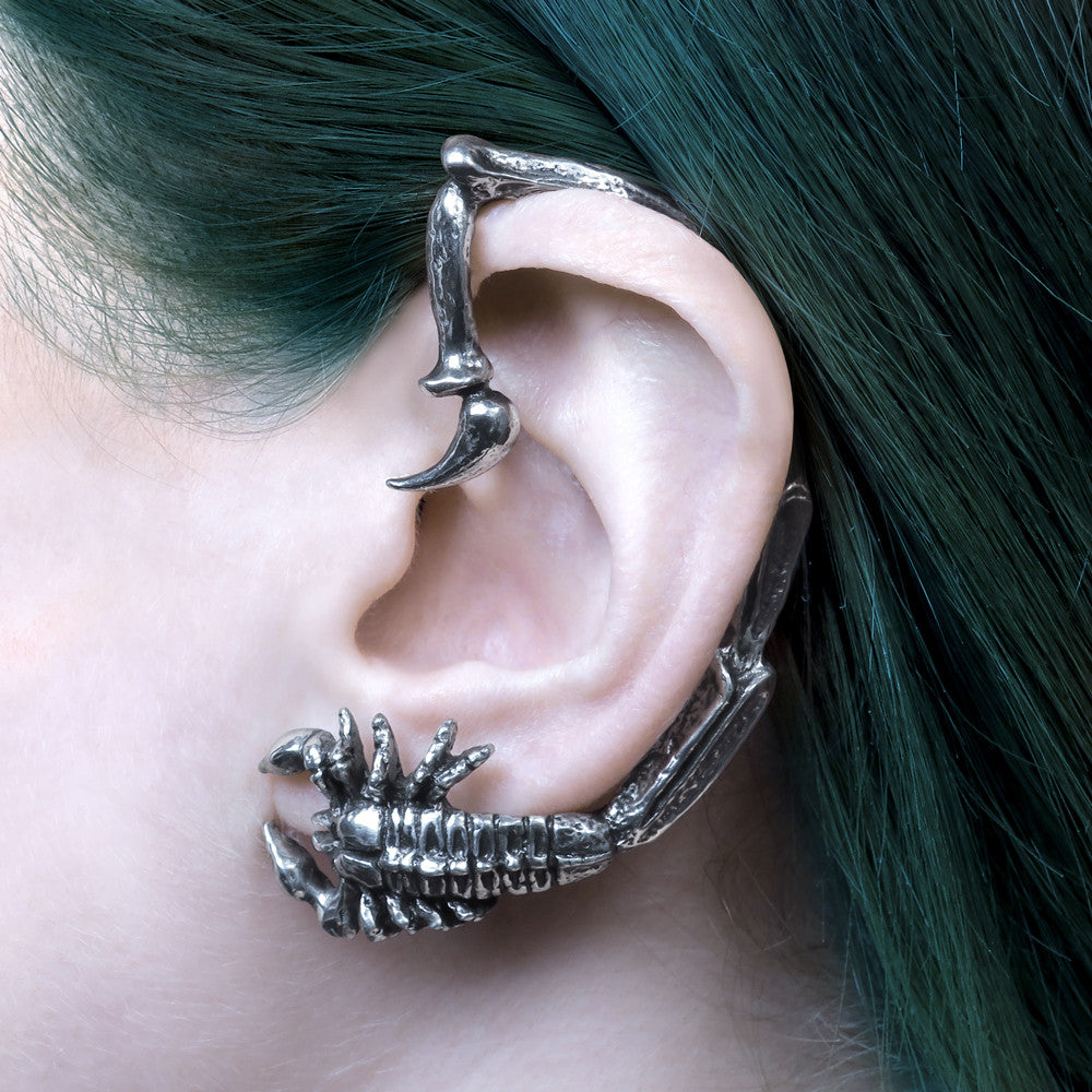 Scorpion Earwrap