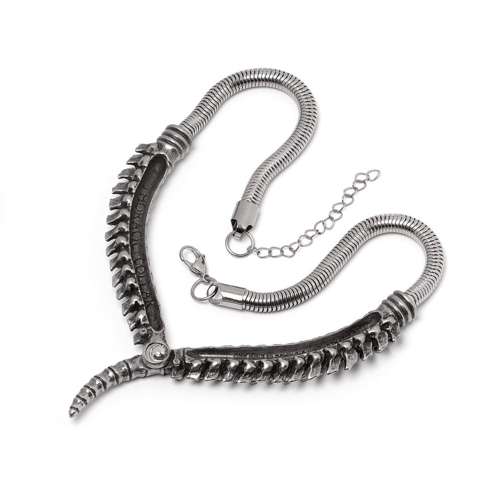 Thoracic Collar Necklace