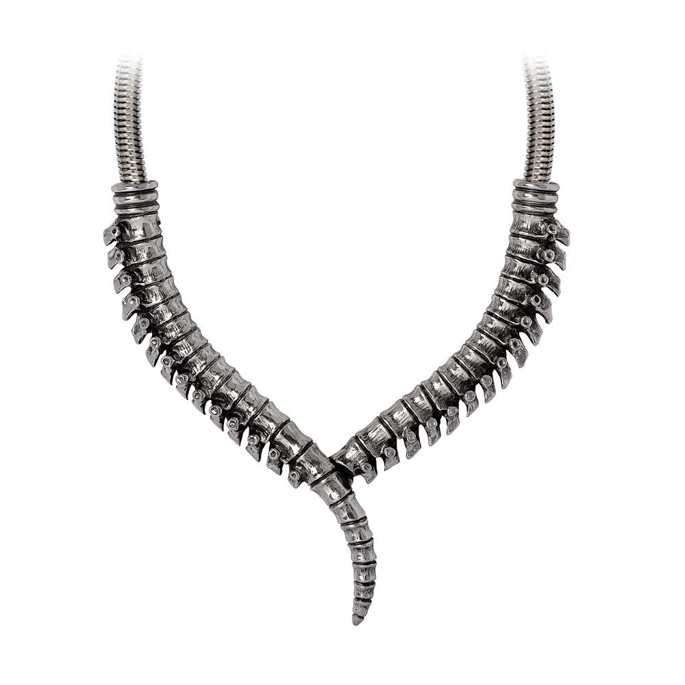 Thoracic Collar Necklace