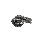 Consprimus Ring