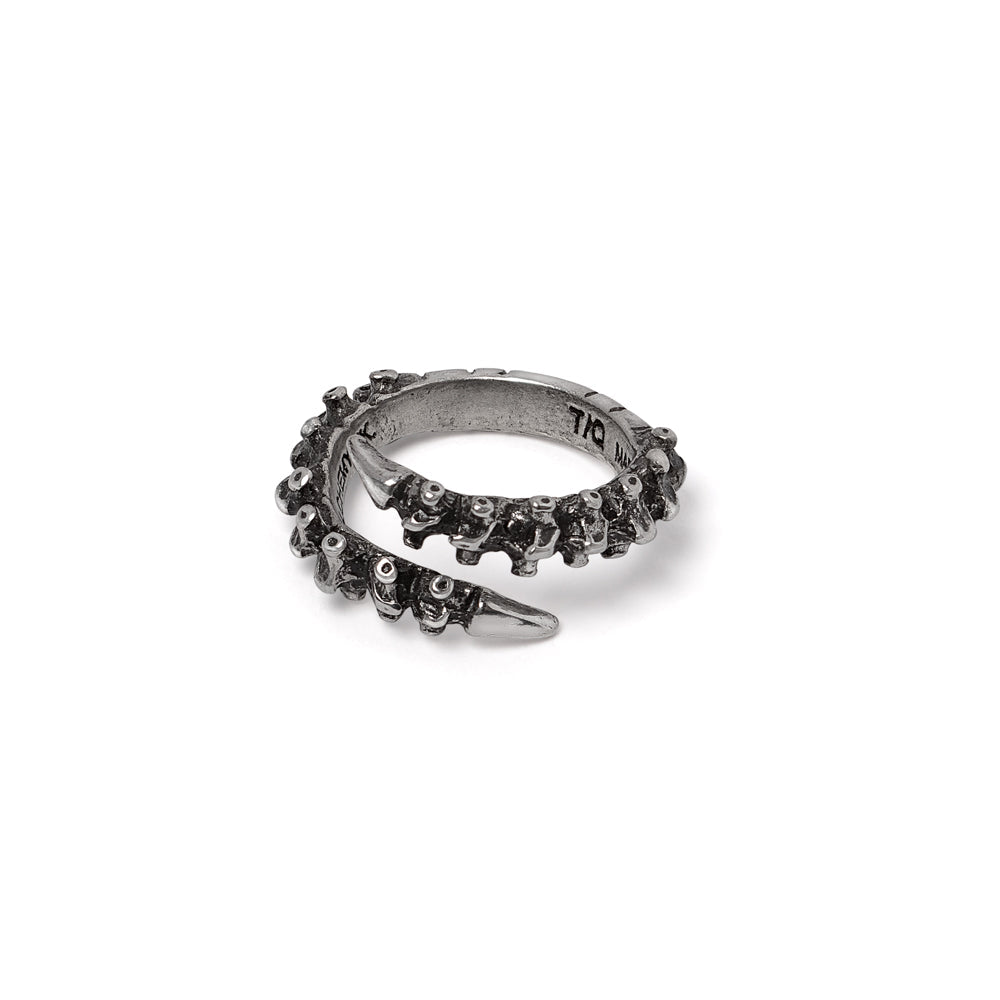 Spine Ring