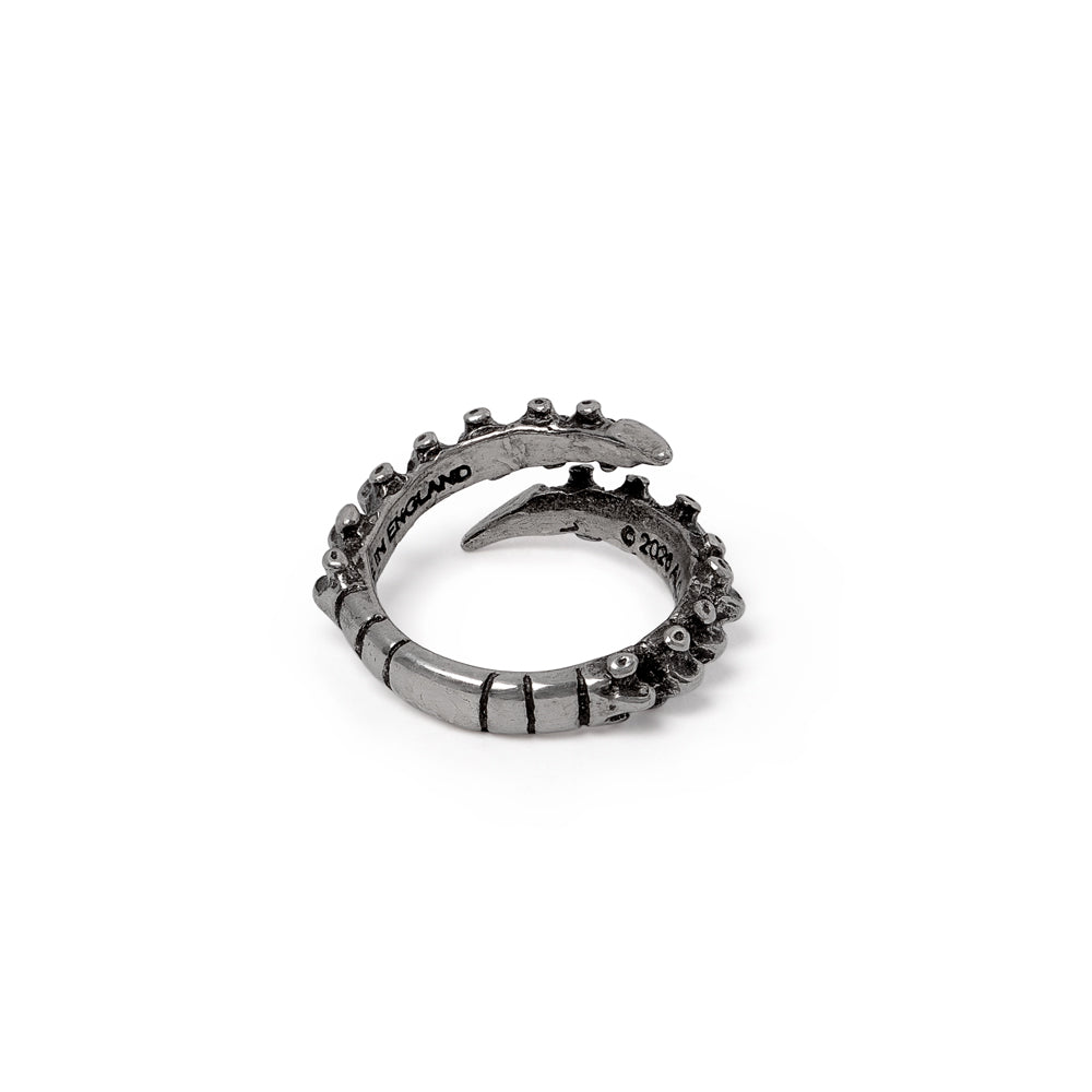 Spine Ring