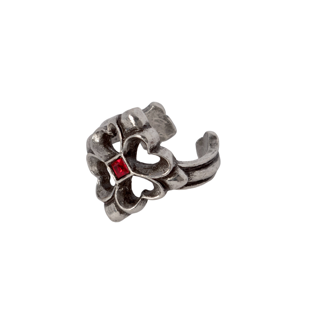 Crux Appassionato