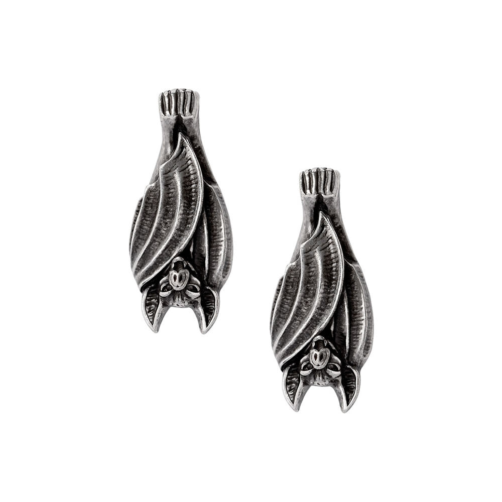 Before Dusk Stud Earrings