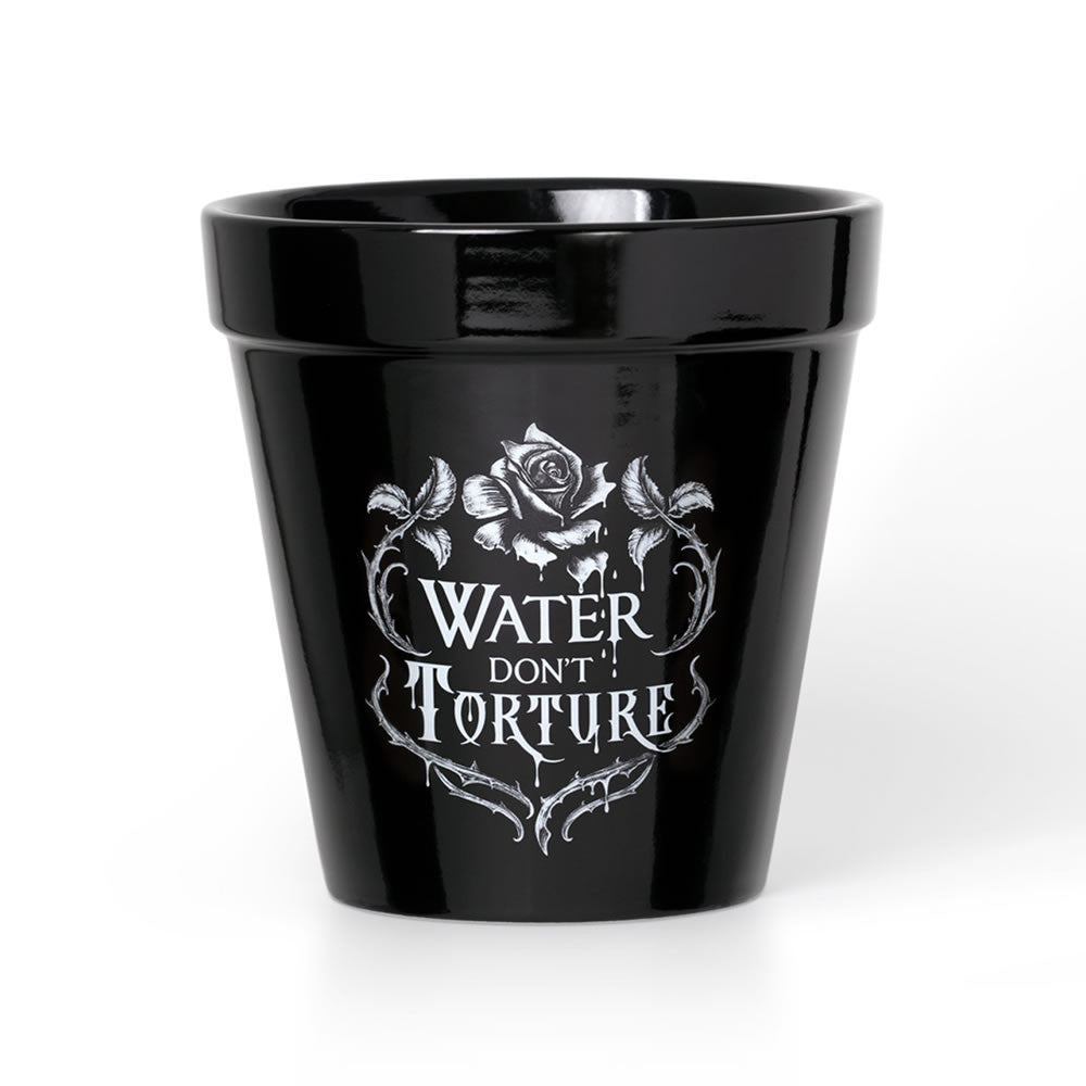 Water Don't Torture Plant Pot