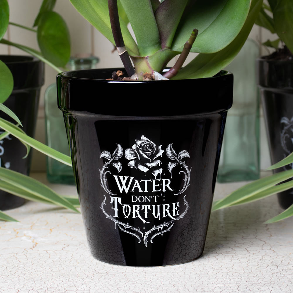 Water Don't Torture Plant Pot