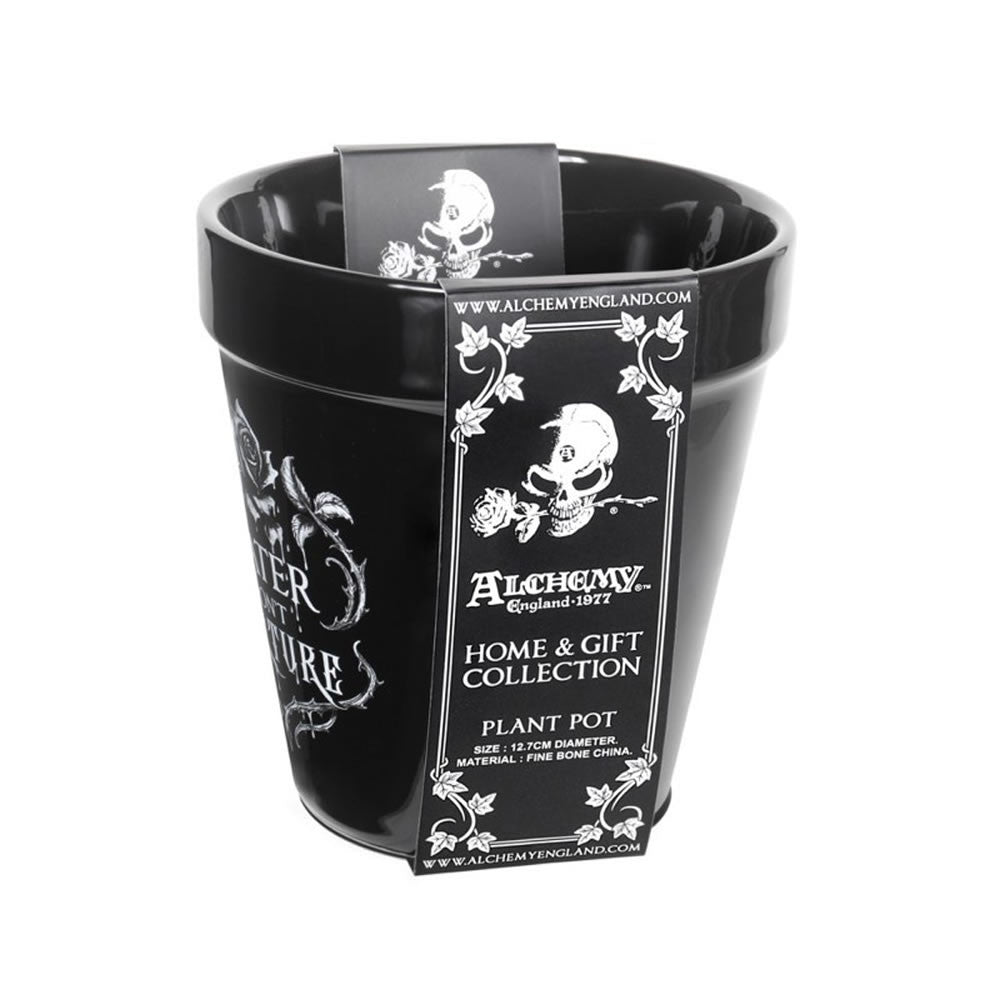 Water Don't Torture Plant Pot