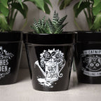 Wet Your Plants Plant Pot