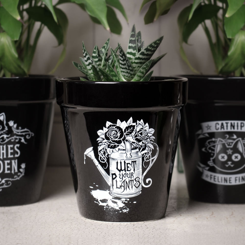 Wet Your Plants Plant Pot