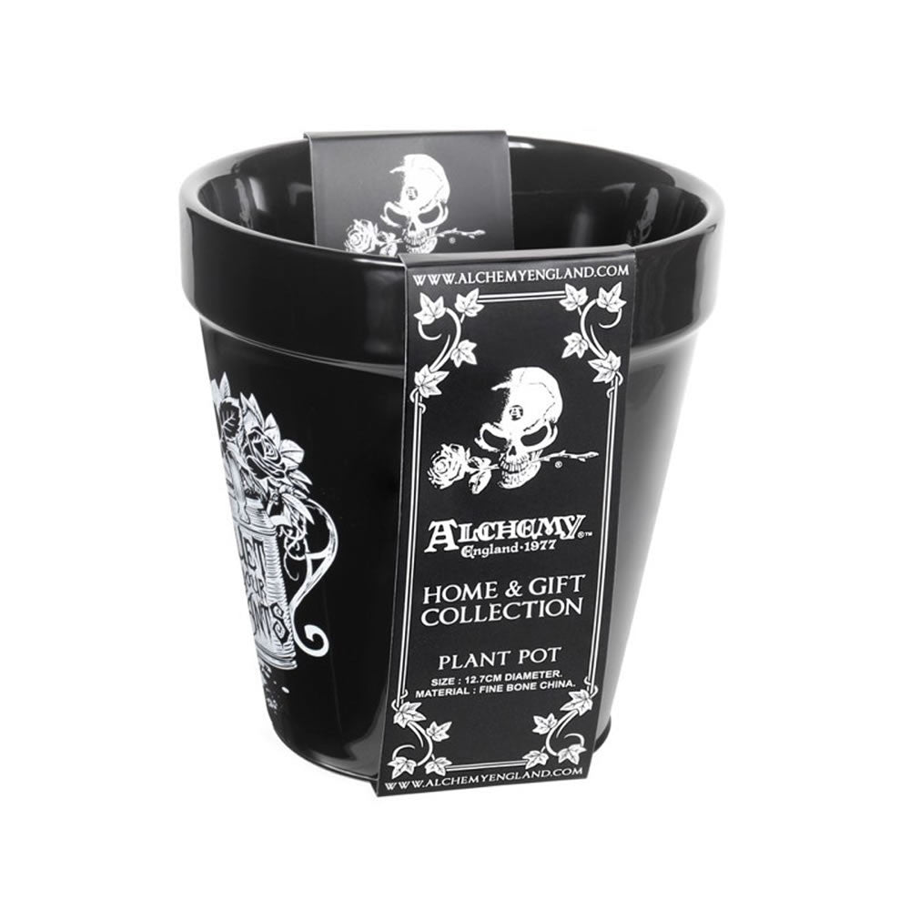 Wet Your Plants Plant Pot