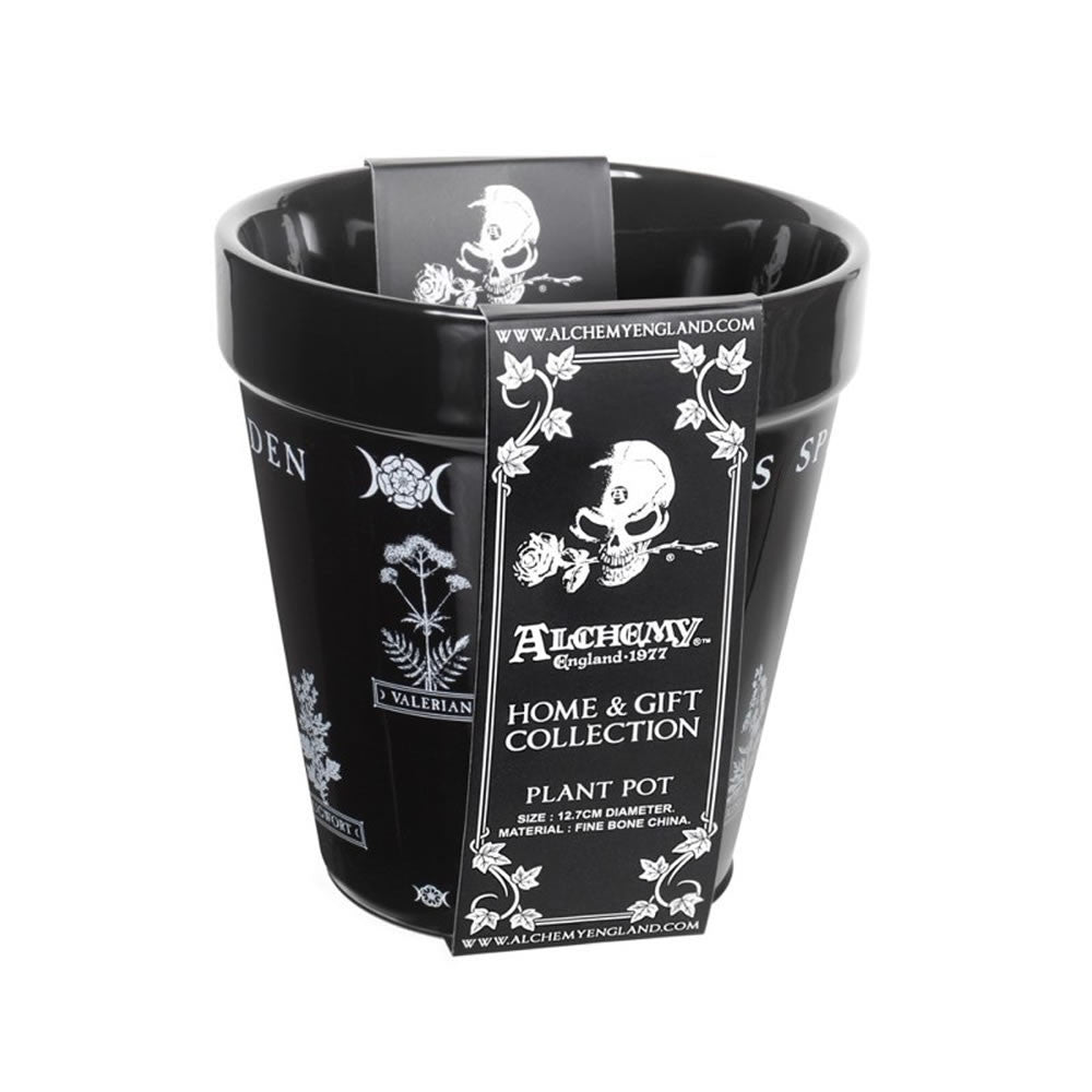 Witches Spell Garden Plant Pot
