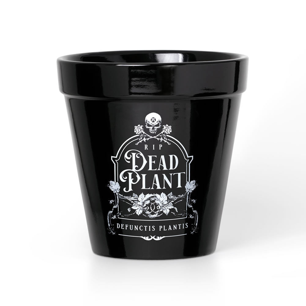 Dead Plant Plant Pot