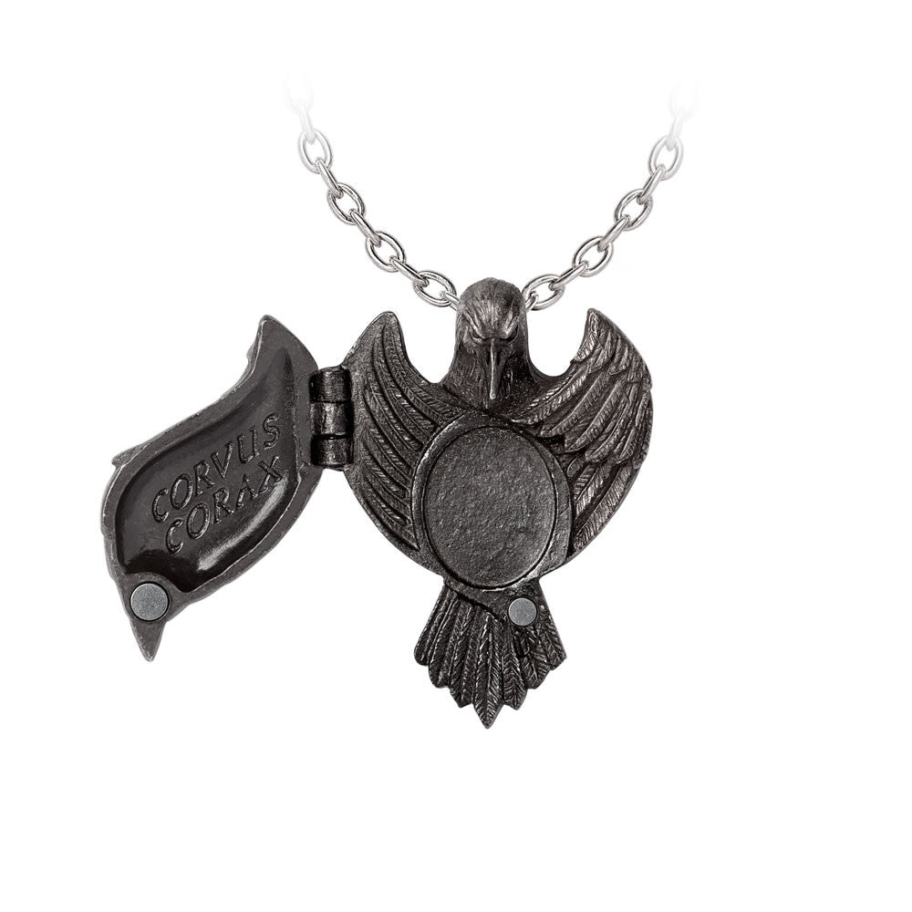 The Augurium Necklace