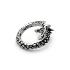 Vis Viva Ring