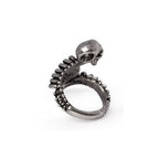 Resurrected Ring