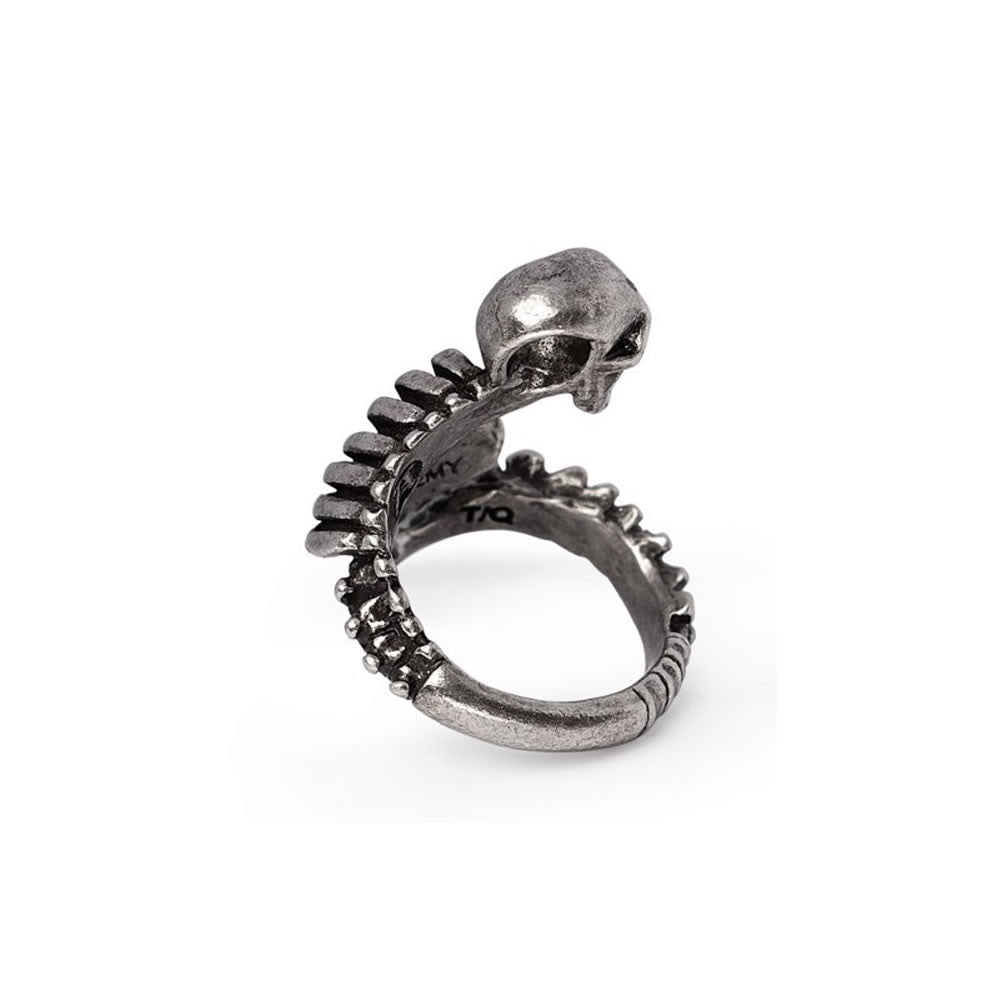 Resurrected Ring