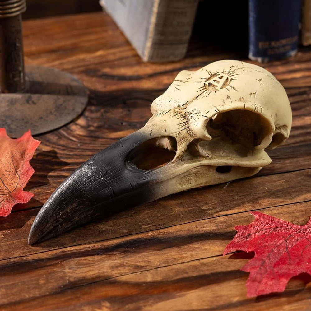 Corvus Alchemia Skull