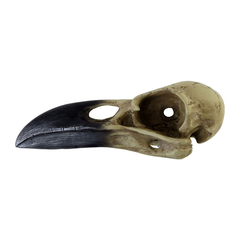 Corvus Alchemia Skull