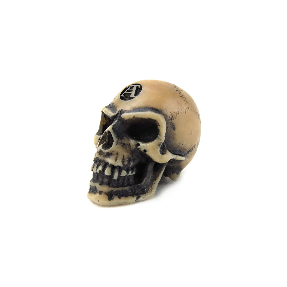 Lapillus Worry Skull