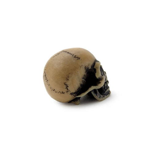 Lapillus Worry Skull