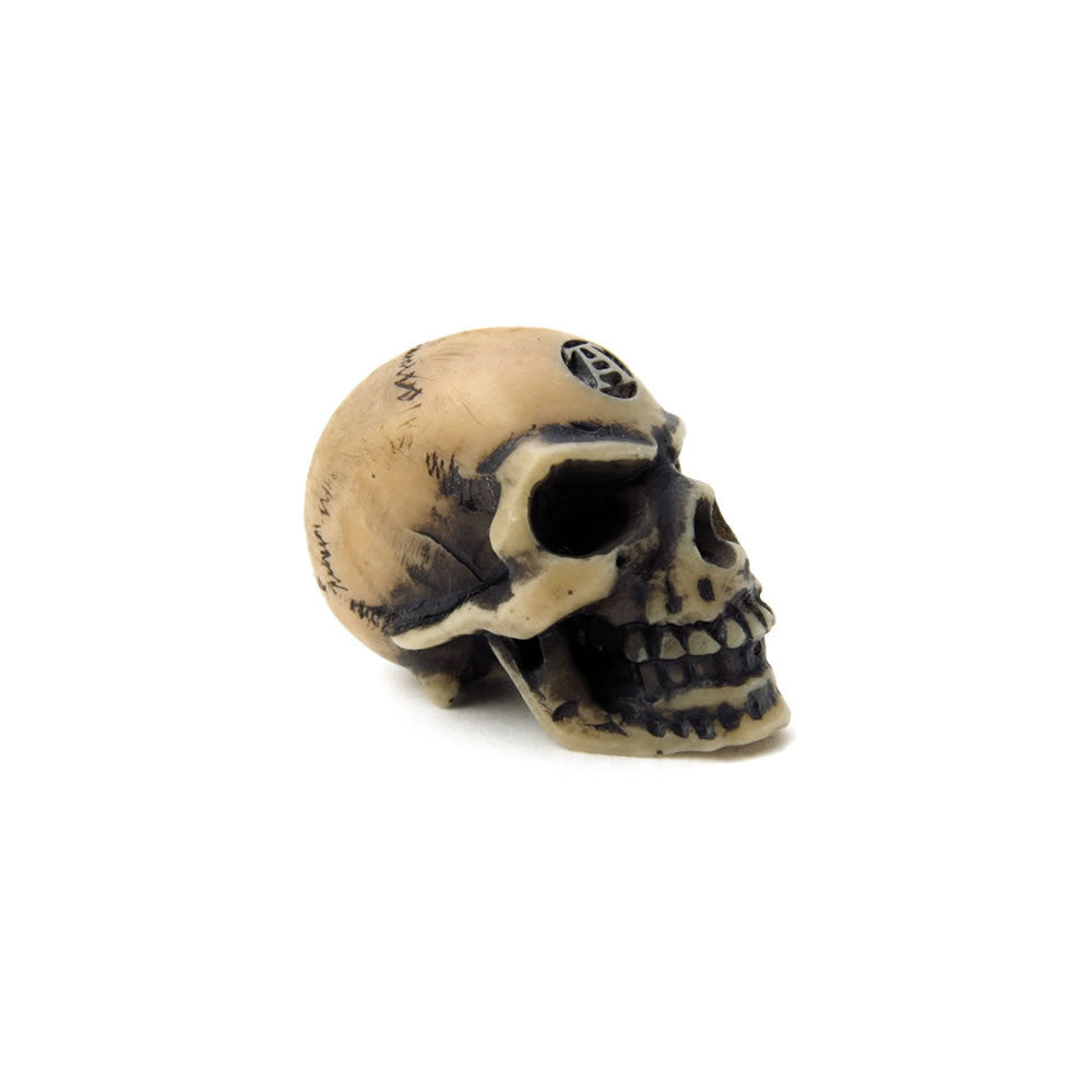 Lapillus Worry Skull
