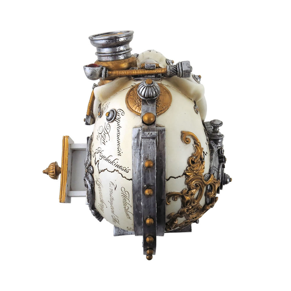 Erasmus Darwin's Steam-Cerebrum Skull