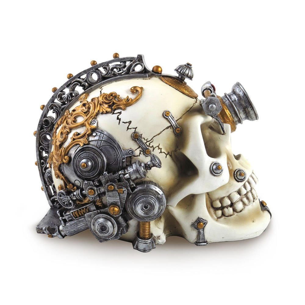 Erasmus Darwin's Steam-Cerebrum Skull