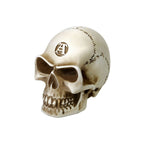 Bone Colored Skull Paperweight