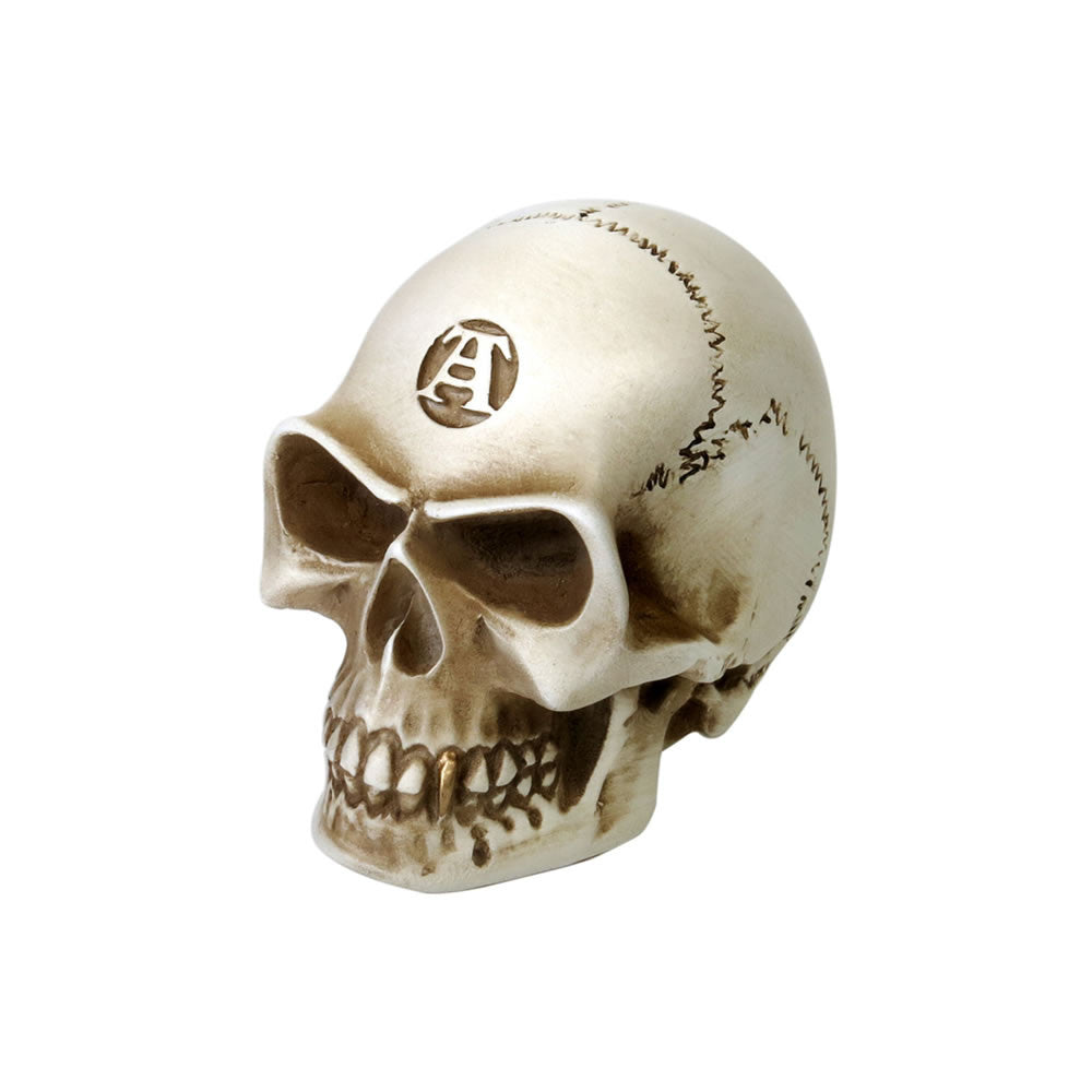 Bone Colored Skull Paperweight