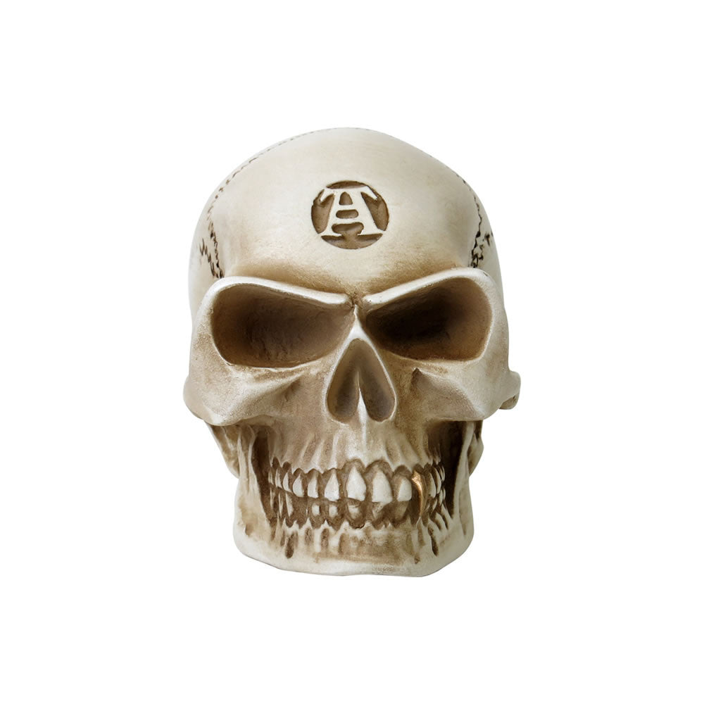 Bone Colored Skull Paperweight