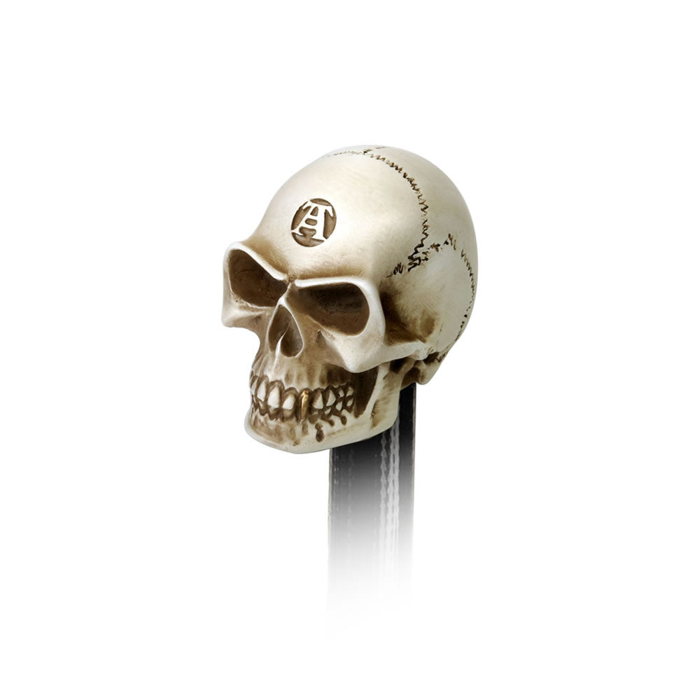 Bone Colored Skull Paperweight