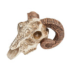 Scrimshaw Ram Skull