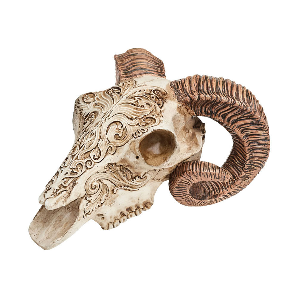 Scrimshaw Ram Skull