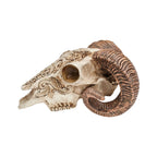 Scrimshaw Ram Skull