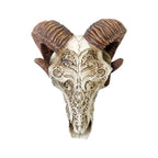 Scrimshaw Ram Skull
