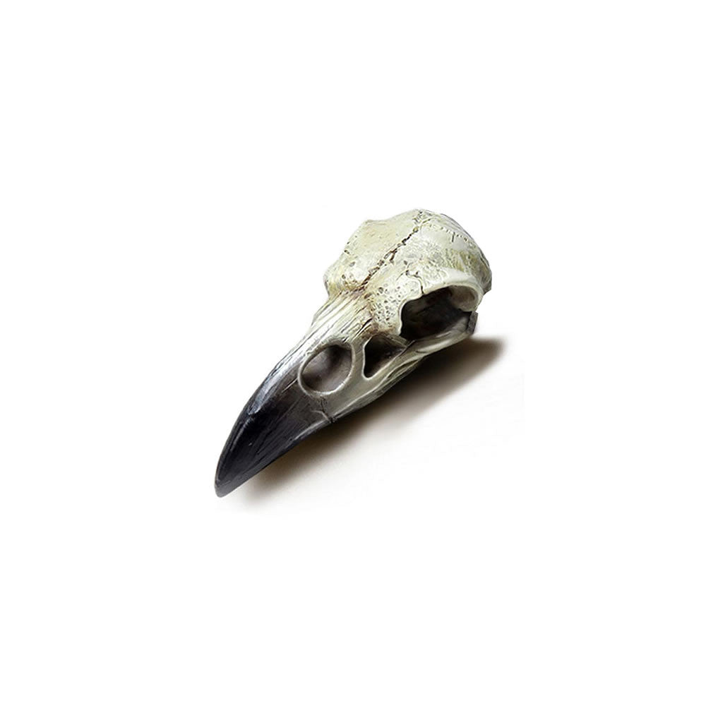 Reliquary Raven Skull