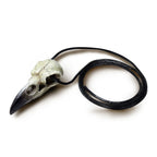 Reliquary Raven Skull