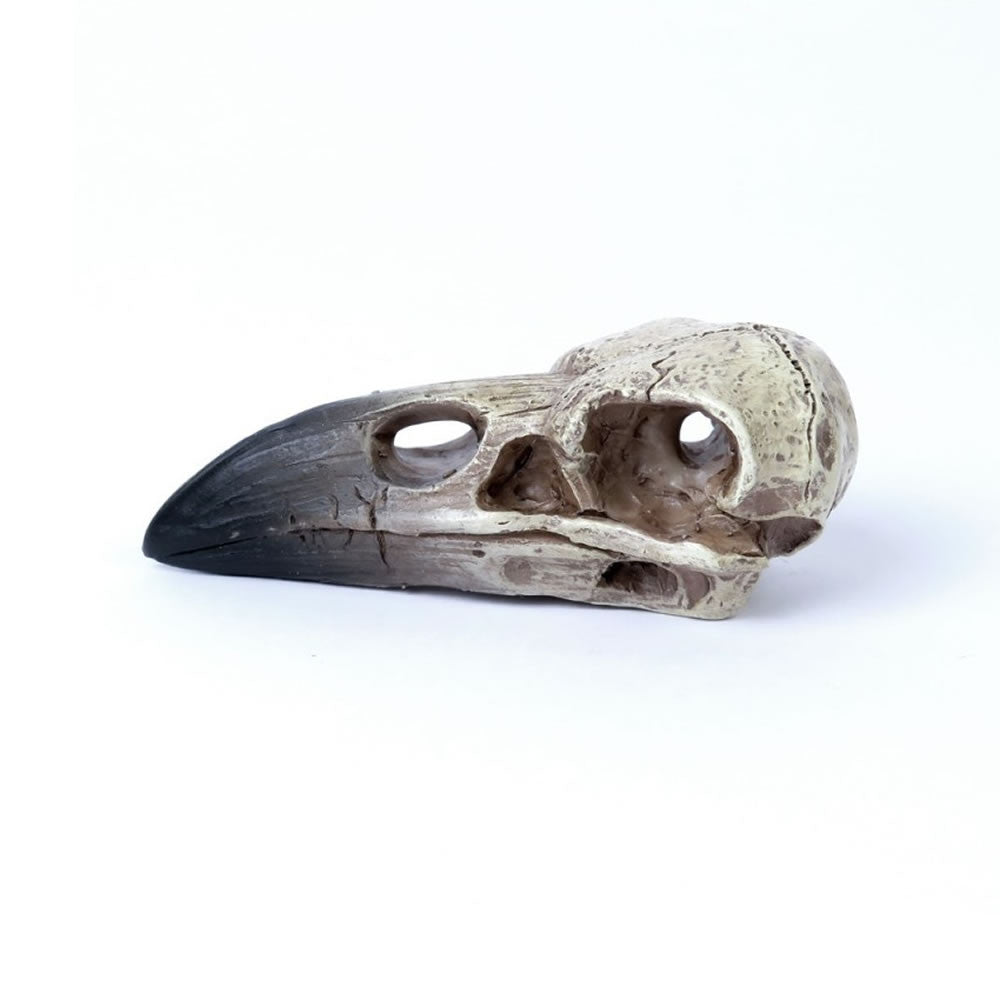 Reliquary Raven Skull