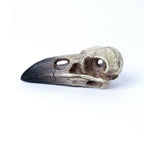 Reliquary Raven Skull