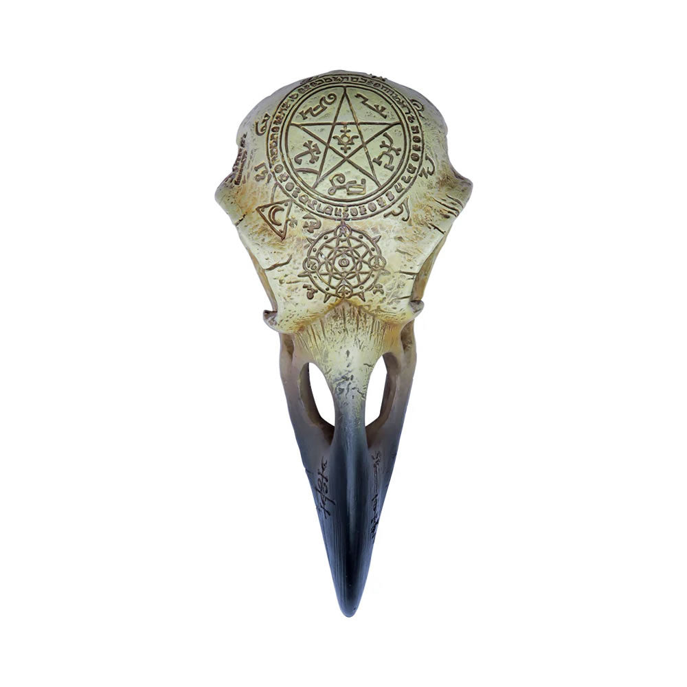 Omega Raven Skull