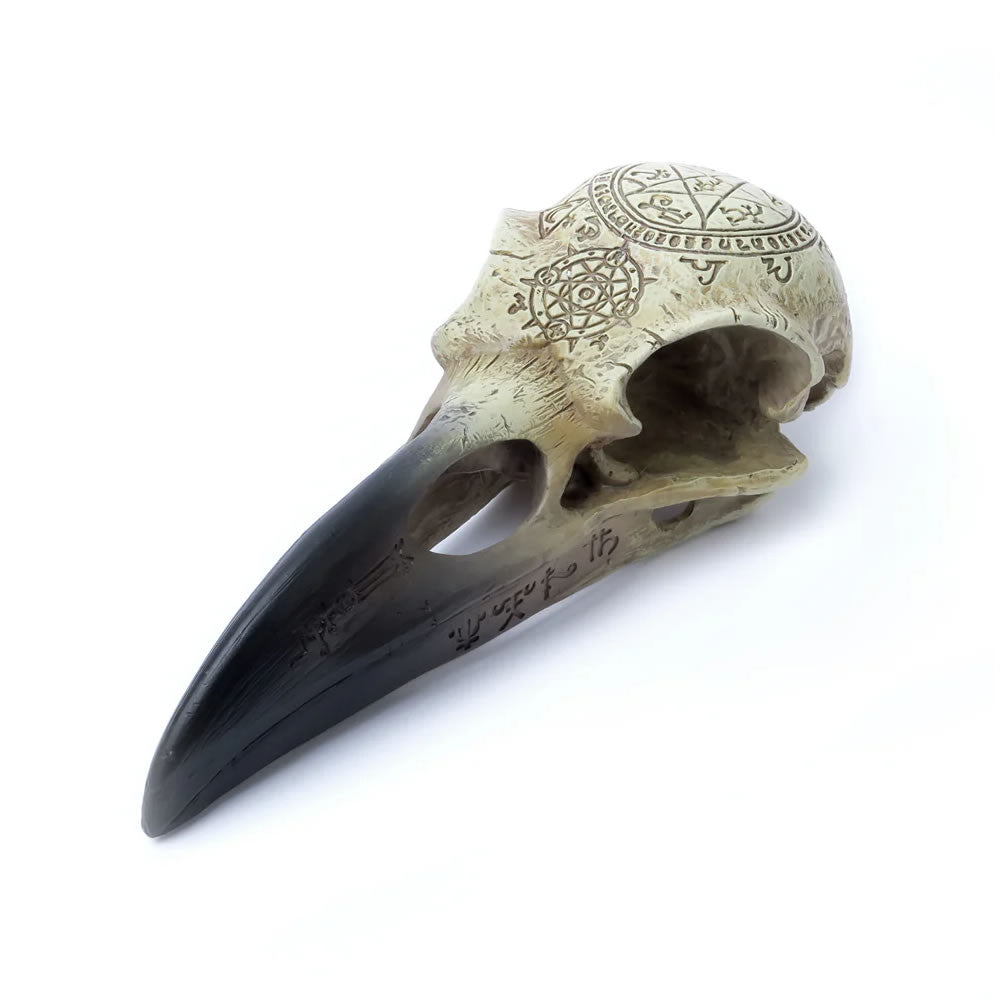 Omega Raven Skull