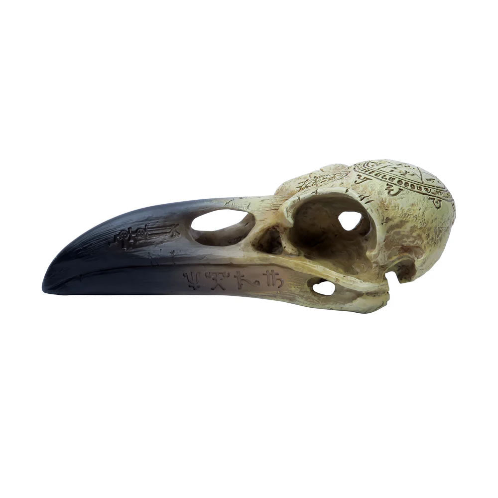 Omega Raven Skull
