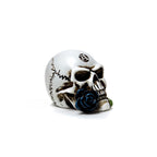 Alchemist Skull Miniature